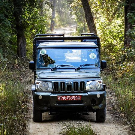 Bardia Wildlife Resort Bardiya Exterior photo